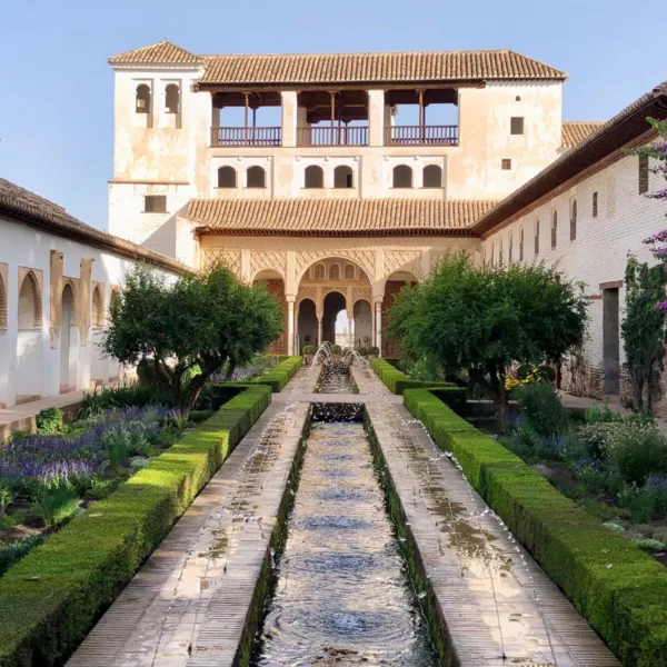 Institucionet shkencore dhe sistemi i institucioneve arsimore në Islam