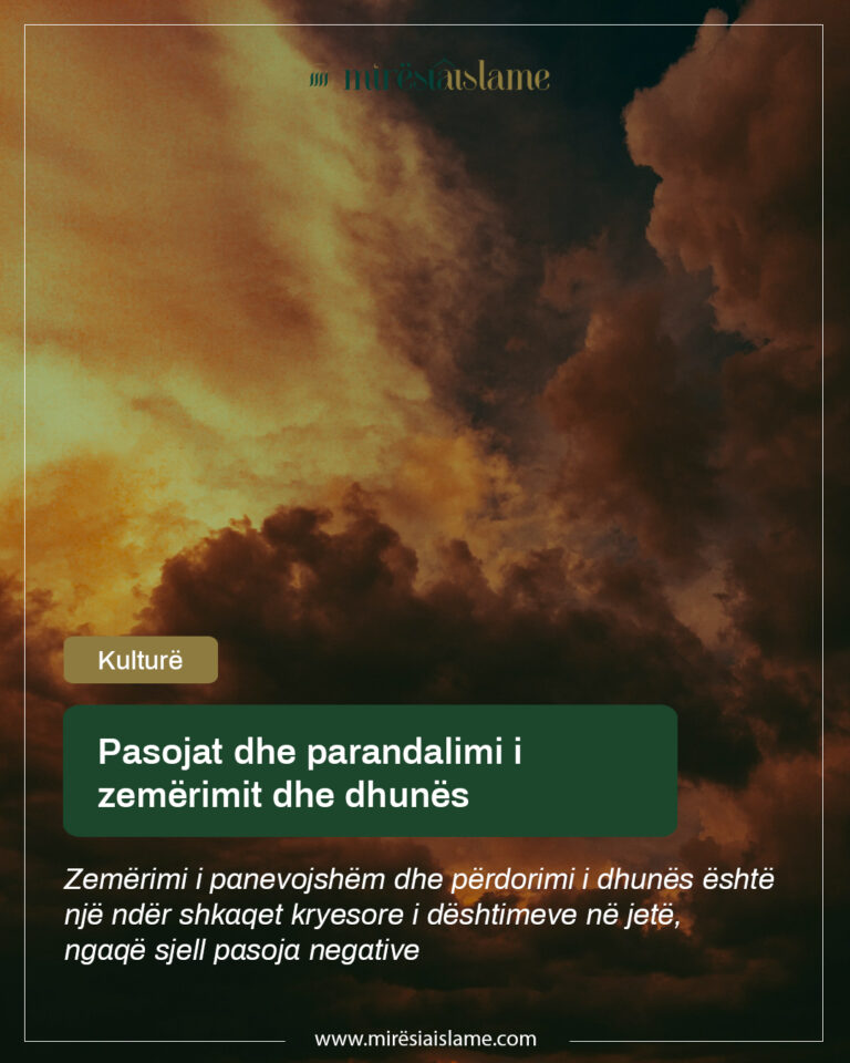 Pasojat dhe parandalimi i zemërimit dhe dhunës